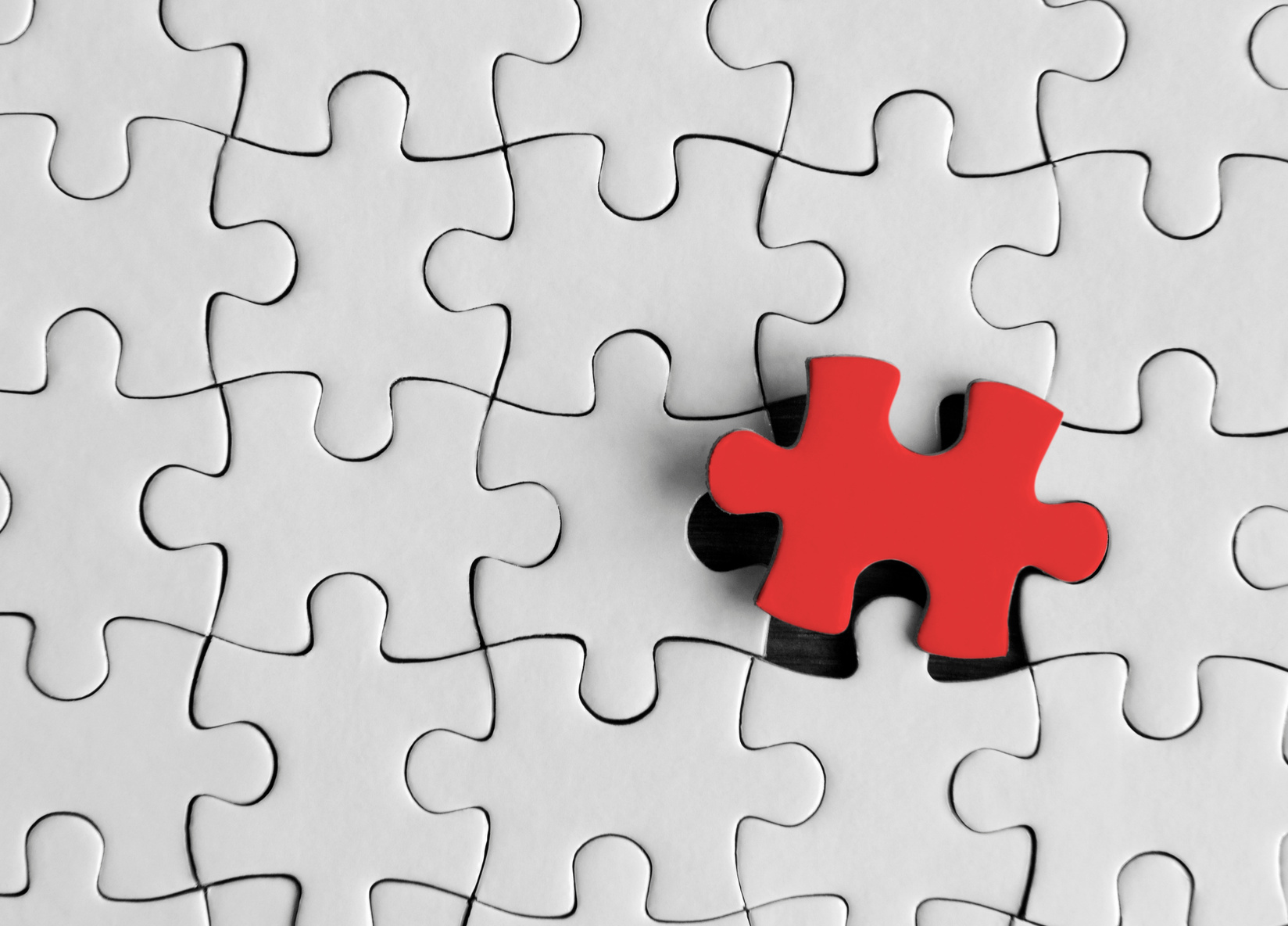 Jigsaw puzzle